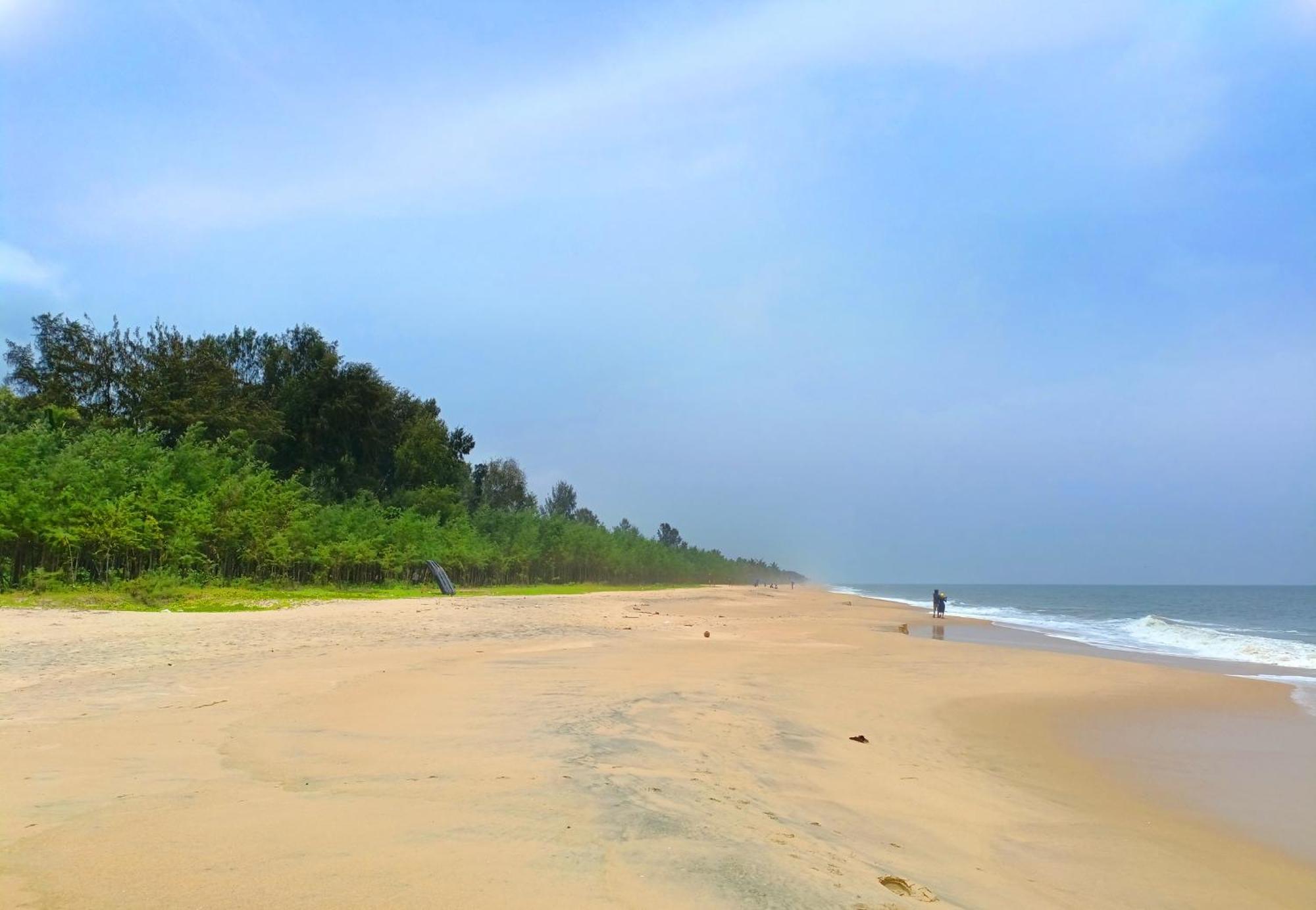 Marari Beach Cleetus Homestay Mararikulam Exteriér fotografie