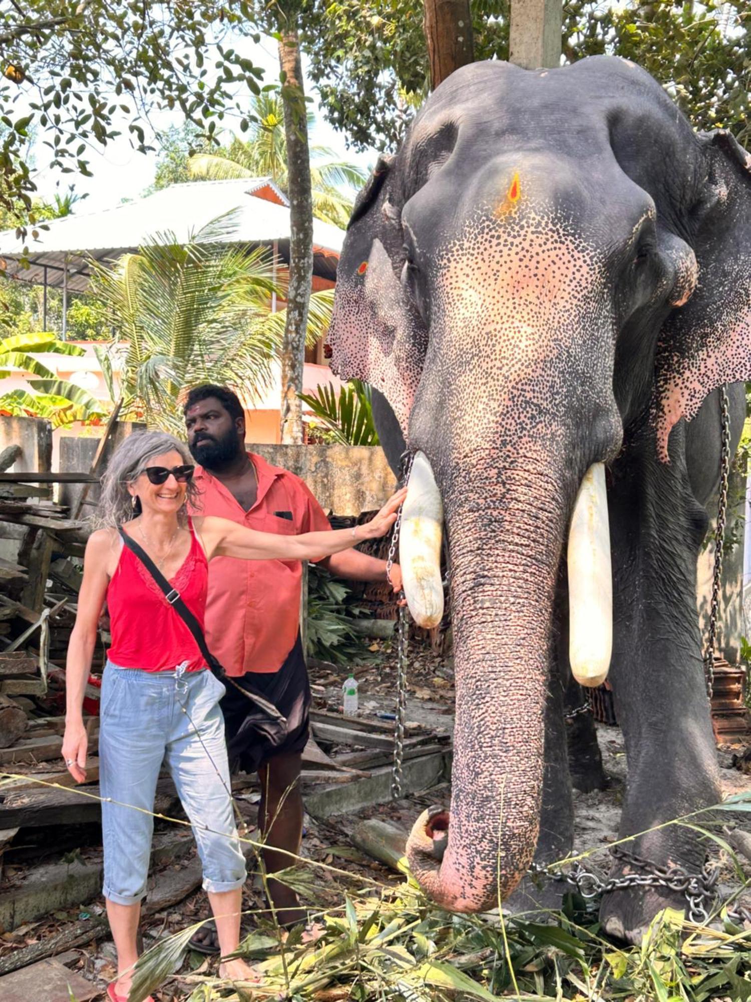 Marari Beach Cleetus Homestay Mararikulam Exteriér fotografie